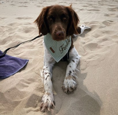 1721137204-IMG-20230518-WA0005